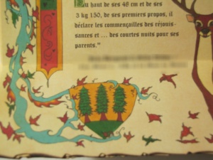 Faire-part médiéval blason