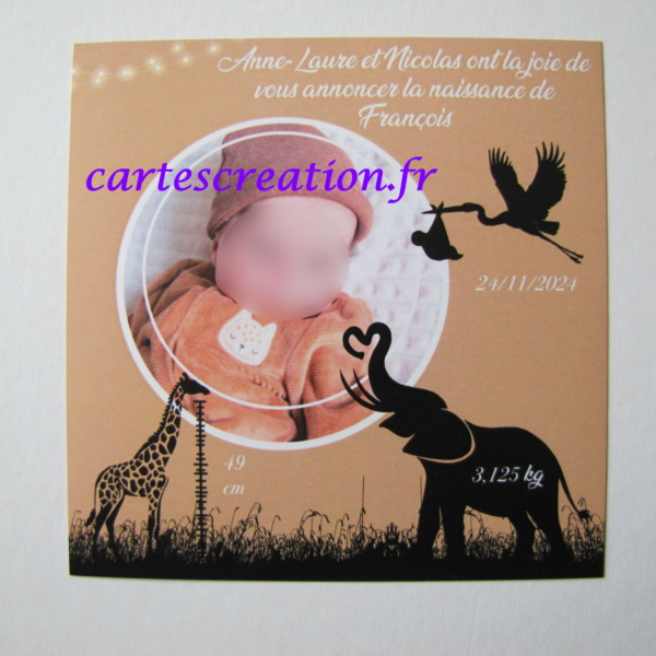 Faire-part naissance nature champêtre