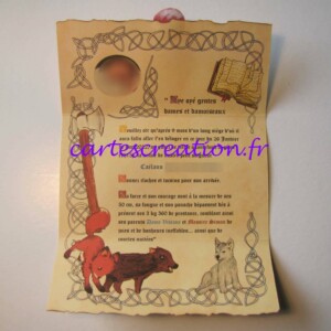 Faire-part naissance médiéval Naissance médiévale Caëlann