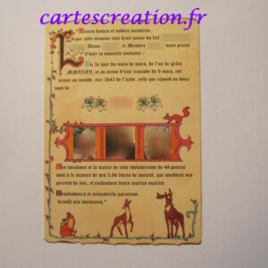 Faire-part naissance médiéval Naissance médiévale L