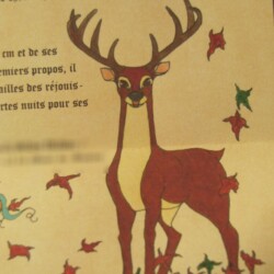 Naissance Robin : aigle, blason sapins, cerf Faire-part naissance médiévale : cerf