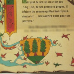 Naissance Robin : aigle, blason sapins, cerf Faire-part naissance médiévale : blason sapins