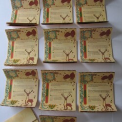 Naissance Robin : aigle, blason sapins, cerf Faire-part naissance médiévale: aigle, blason sapins, cerf