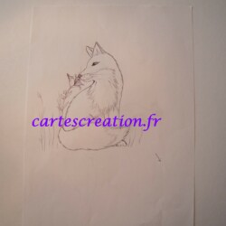 Croquis Renard Naissance L : Lys - photos - animaux forêt