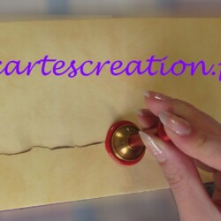 Naissance Robin : aigle, blason sapins, cerf Faire-part de mariage médiéval chic : sceau de cire