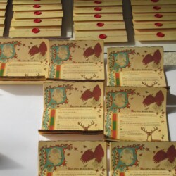 Naissance Robin : aigle, blason sapins, cerf Faire-part naissance médiévale : sceau de cire