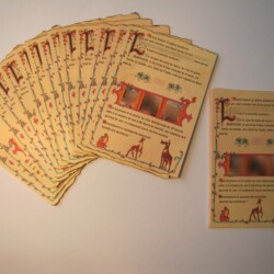 Bords brûlés Naissance L : lys photos animaux forêt